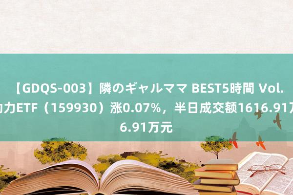 【GDQS-003】隣のギャルママ BEST5時間 Vol.2 动力ETF（159930）涨0.07%，半日成交额1616.91万元