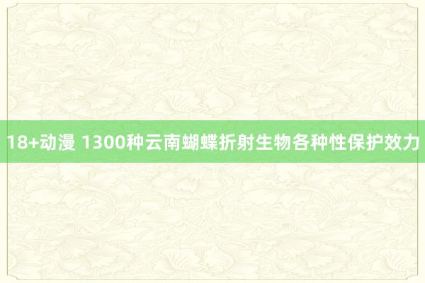 18+动漫 1300种云南蝴蝶折射生物各种性保护效力